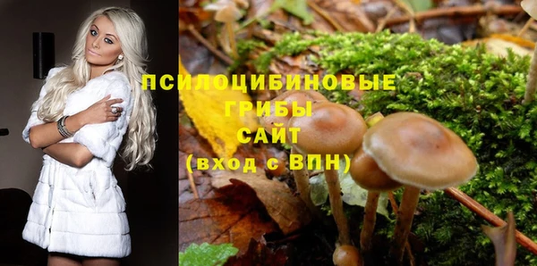 героин Новозыбков