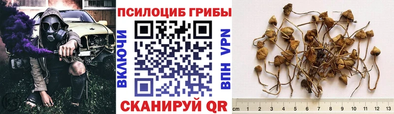 kraken ссылки Артёмовск Псилоцибиновые грибы Psilocybine cubensis